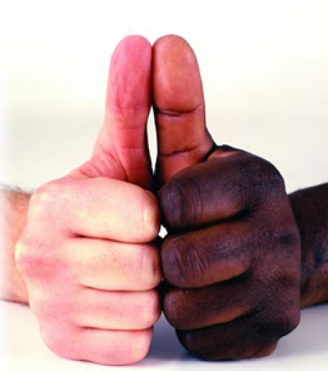 Diversity Racial